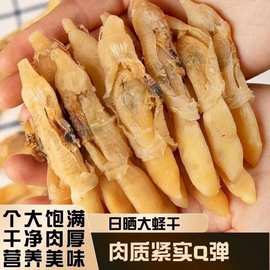 野生蛏子干蛏干干货海蛏子海鲜干货竹节蛏子肉干无沙海鲜煲汤食材