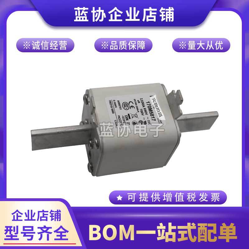 全新保险丝熔断器170M5927 170M5928 170M5929 170M5930 170M5931