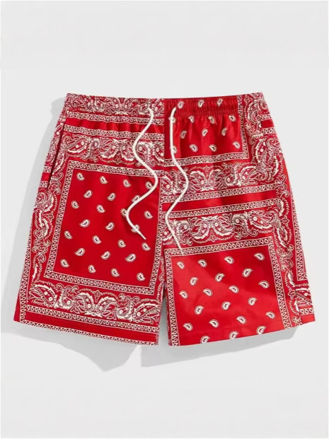 Men's Summer Fashion Trend Graphic Beach Shorts 3D Printed Swimming Trunks Casual Streetwear Hawaiian Shorts