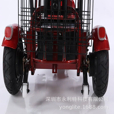 Sightseeing Vehicle, Qatlanan elektrik velosipedlər
