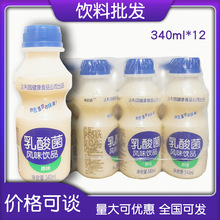 火锅自助餐饮料整箱乳酸菌小瓶饮品厂家批发达利园益生菌养胃多奶
