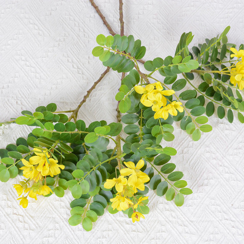 Single Sophora japonica flower leaf simulation leaves home indoor garden decoration leaf feel Sophora japonica flower leaves Sophora japonica tree green plant landscaping