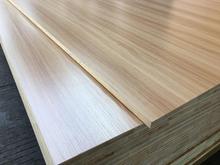 17mm免漆生態板環保板材三聚氰胺細木工板實木雙面家具櫥柜裝飾板