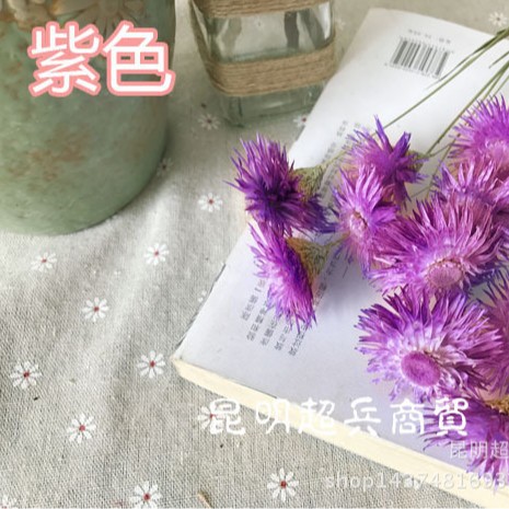 Flor seca Loto de nieve seca Lotus de nieve mini ramo con flor hogar arreglo de flores combinación flor seca