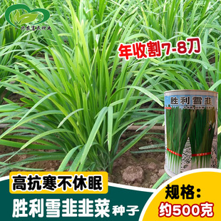 �S�r����ѩ�¾²˷N�ӿ������������ߝ�����~�²��� ������ؾ�