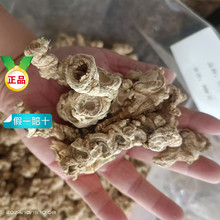 �񹝅� ��ș�������� ���������ǅ�����˅�������ɽ���Ұ��