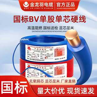 ������늾���|BV1.5/2.5/4/6/10/16ƽ�����˼��~о��о���b늾�