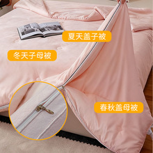 暖核全棉大豆蛋白二合一拉链款双人春秋被芯冬被四季通用