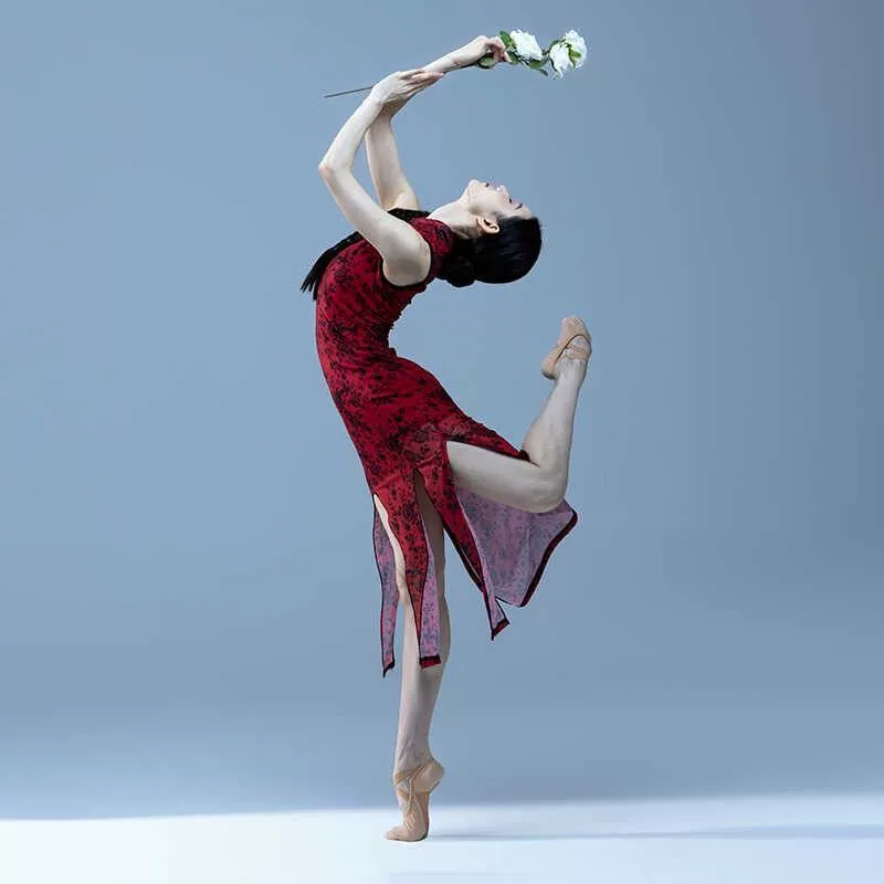 Танцевальный костюм Cheongsam для женщин, модифицированный китайский танец, стройнящий вид, высокий разрез, классический танец, эластичная сетка