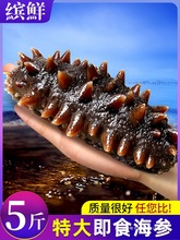 ������ʳ�r���rʳ�|�̅���؛�������ЋD�̅��Y��500g�؃r�B���b