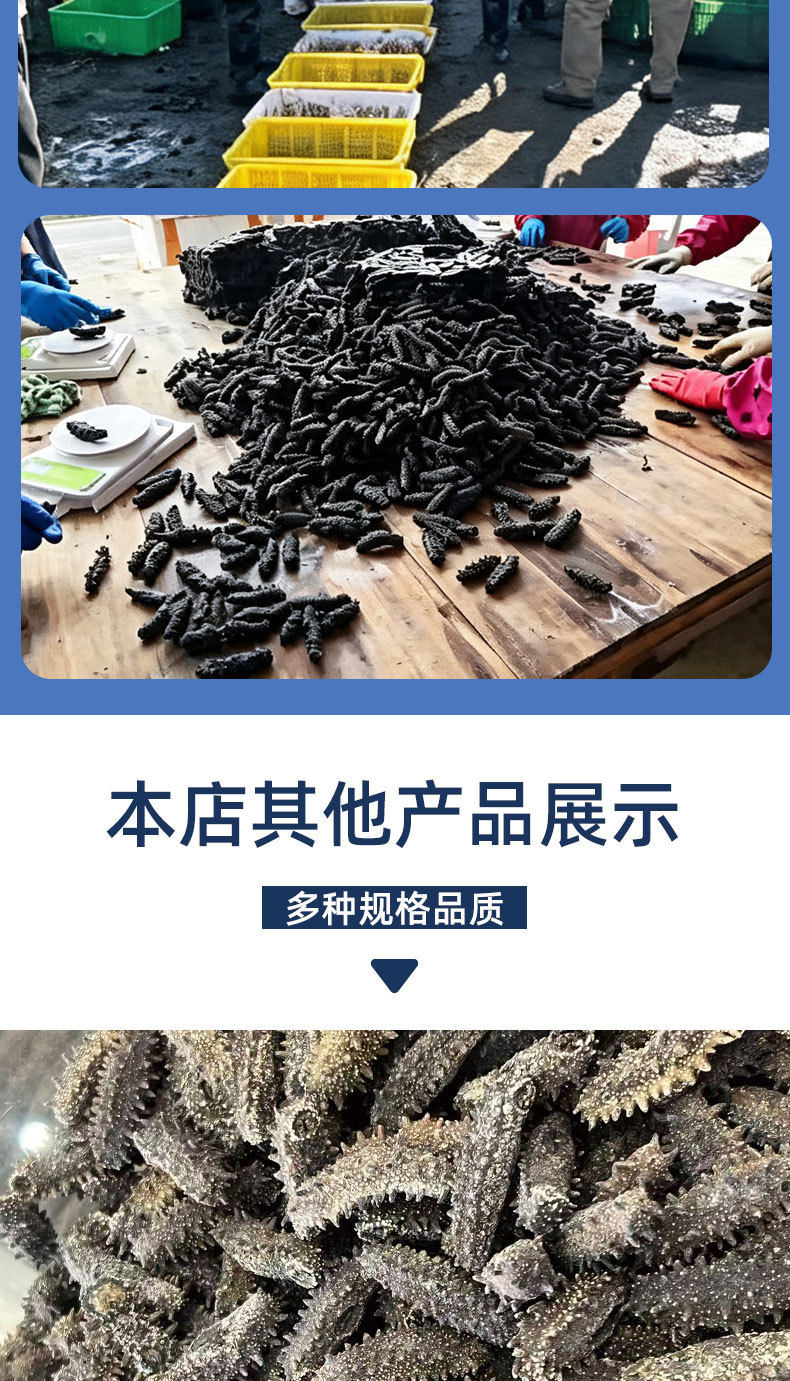 Dalian Dried Sea Cucumber Gift Box Premium Liaoning Lightly Dried Sea Cucumber 50g specifications
