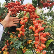 ���̹���޽������ش�����̖���̹�����j����������ϱ���ͥԺ