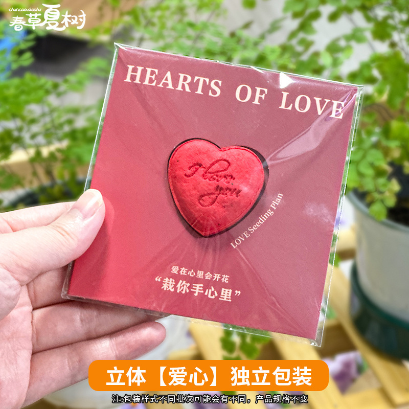 卒業シーズンに小さな赤い花を贈りましょう。子供たちは発芽グリーティングカードと発芽紙の種子カードを植えることができます。|undefined