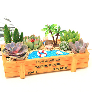 Succulent Plant Materials Include Potted Soil, Green Plant Ornaments, Succulent DIY Micro-Landscape Club Combination Potted Plant Packages