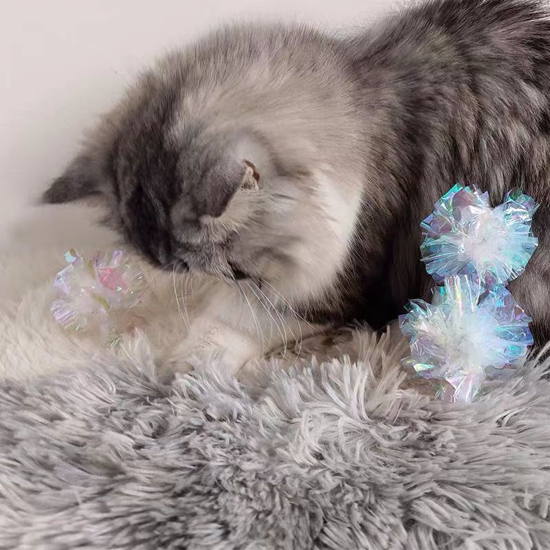 75f9803d0a95bbfde66554f3139a0b