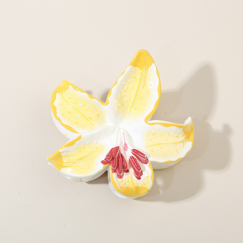 跨境海星花朵韩国水仙花抓夹PS材质鸡蛋花加厚鲨鱼夹后脑勺发夹|undefined