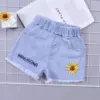 Shorts, with embroidery