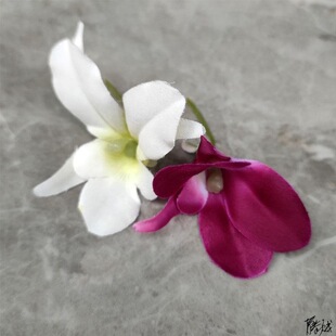 �m���[�P�[̨���m�����m�[�P��Ʒ�͏d�����c�Y�bٻ��Ƶ�