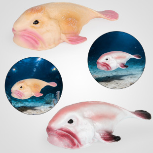 �羳���ă�ͯˮ���~�n�������~���溣����������ģ���J֪�[��