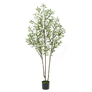 ���R�d�羳�b��ϙ���������҃�����¿�پGֲ���Է����ϙ��