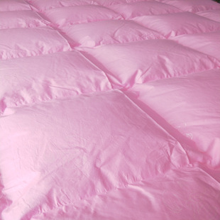 ӡ80֧ؕqqо荽qHw͸