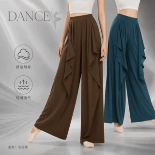现代舞裤子舞蹈衣服中国舞冬季阔腿裤新款飘逸基训服古典舞练功服