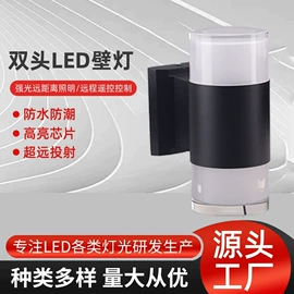 投光灯;洗墙灯;探照灯