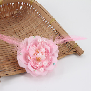 2025 Women's Ruili Feather Mobile Phone Case Bag Performance Headwear Clothing Accessories Tiktok First-Hand Source 1163