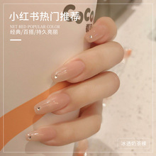 �W�t���͸�̲���ɫָ�����z2024���¿�����ɫ����������׼����z