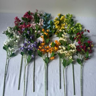 �羳���Q���滨����ָ�ѻ��߼��б��� �Ҿӿ͏d�[����c��Y�b�