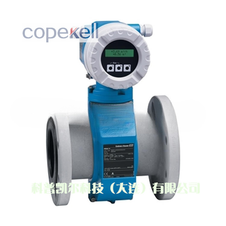 德国E+H超紧凑型变送器的流量计 坚固实用的质量流量计8E1B