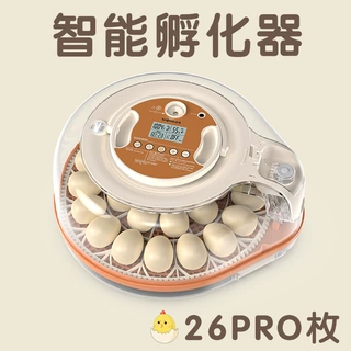 跨境严选外贸26枚小鸡孵化器孵蛋器鹌鹑鹦鹉全自动家用养殖孵化机