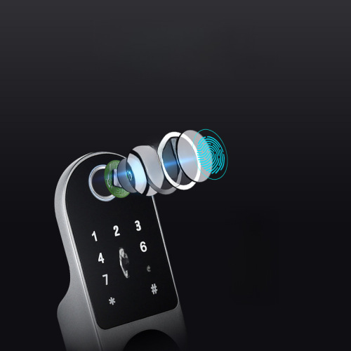 Old-fashioned iron gate with remote-controlled fingerprint and password smart lock, anti-graffiti universal remote door lock, ox-head fingerprint lock smart lock