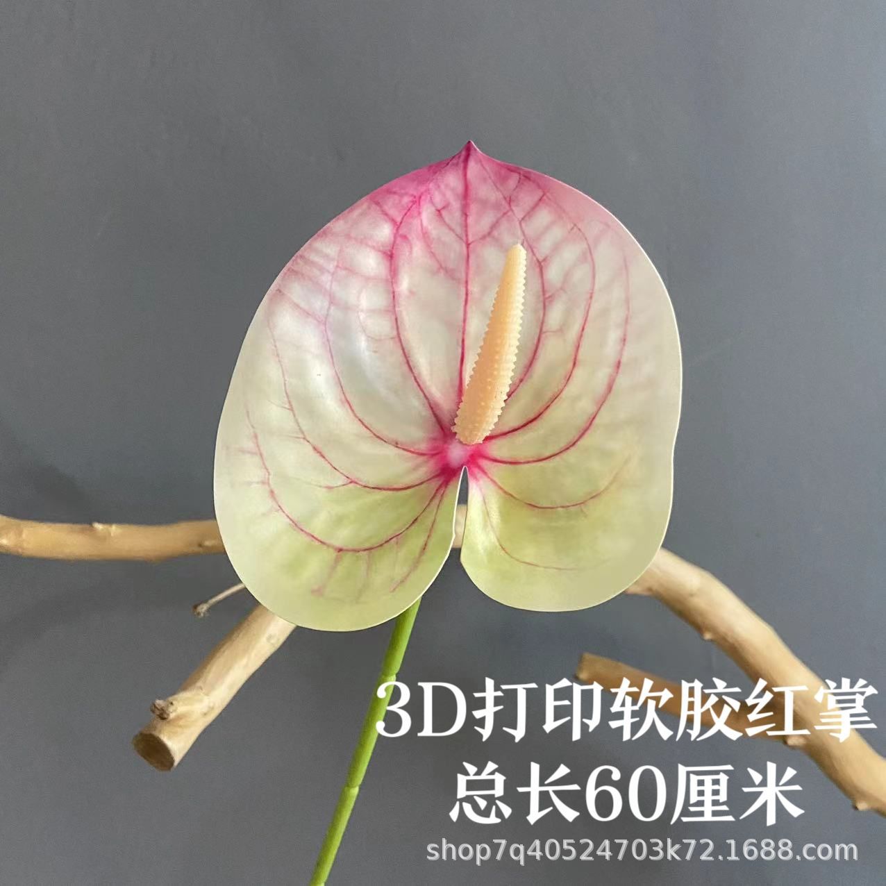 색상 번호 9