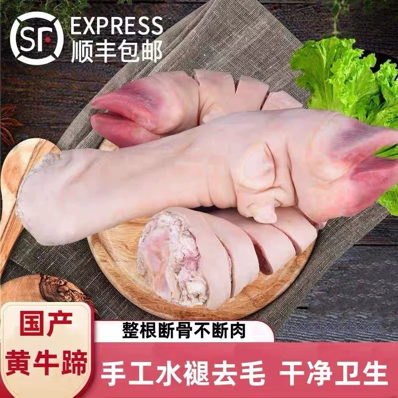 新鲜牛蹄子整只去毛无骨黄牛生牛脚蹄免切块带筋带骨牛蹄商用卤菜