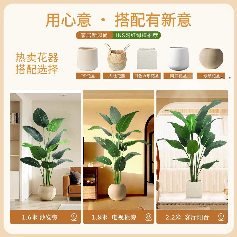 ✅ Large living room floor-standing ornaments indoor sofa TV cabinet next to fake plant Traveler Banana Bird of Paradise Green