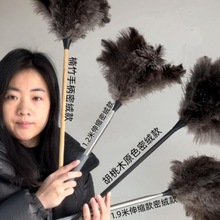 �r�Bë������s���ó��m�߻��������o�܇��������m�۲���ë�Ӻ�