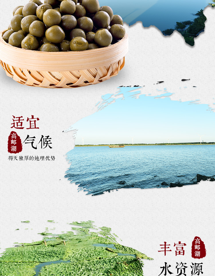 Fresh Gorgon Fruit Qian Shi 500g Bag Premium Euryale Ferox Seeds for Cooking and Soup overview