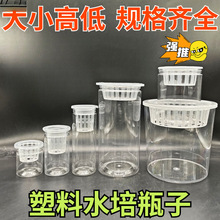 ͸������ˮ�໨��A���Ύ���ֲ�@��ˮ��ˮ���߲˶��ӷN�ӻ��ܾGֲ