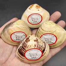 �������_�����o��˪���ͷ���ʽ������Ȼ�������_����������Ʒ��؛