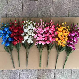 ���滨�Wʽ��ɫ5��ф��m�� ��֧���m���滨�������m���컨�羳