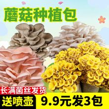 Ģ�������Nֲ����ͯ�ԷN��ʳ�û��طNֲ��ƽ�����乽���S����ƽ��