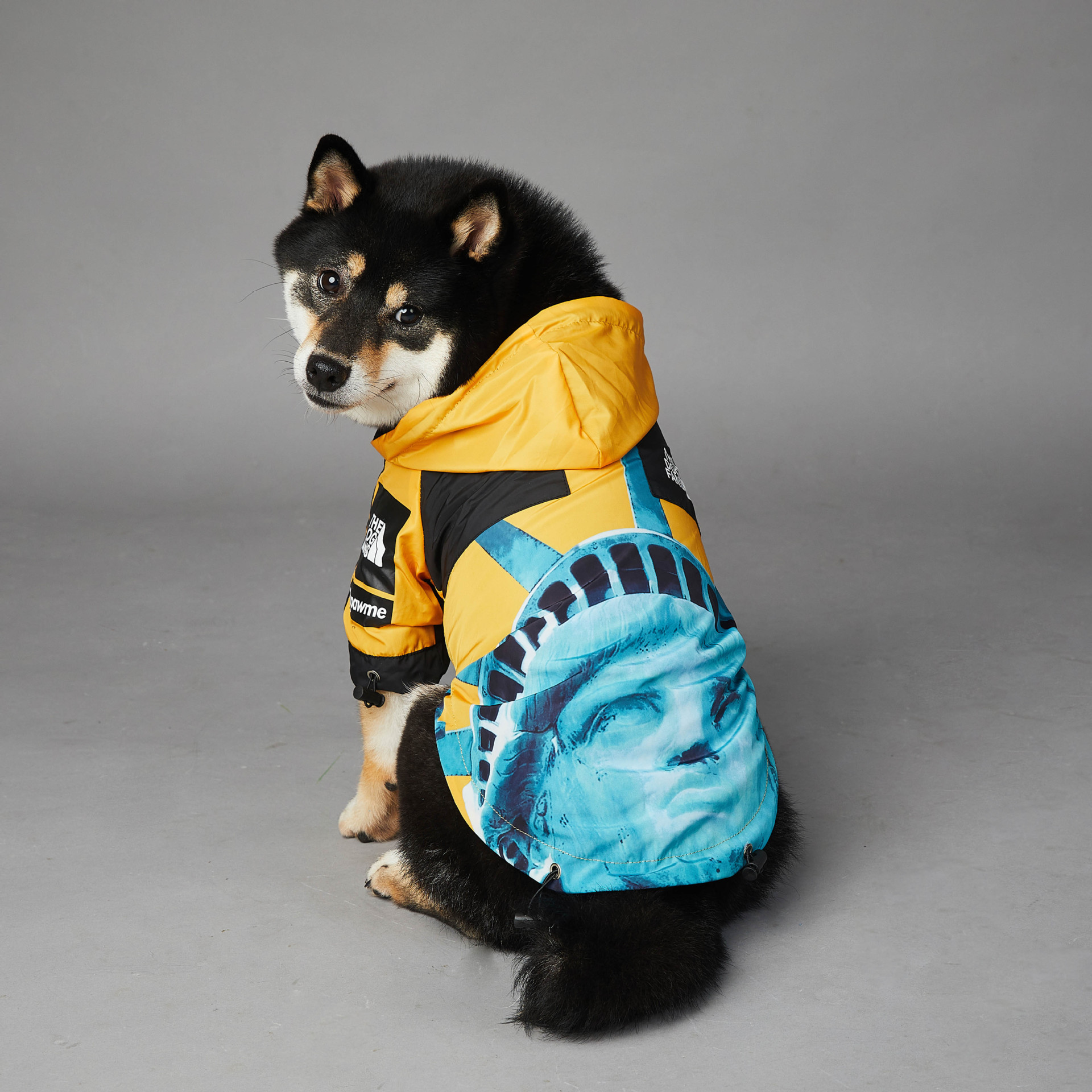 US Flag Brand Windproof and Waterproof North Dog Face New Large Dog Raincoat for Dogs Pet Rain Jacket 