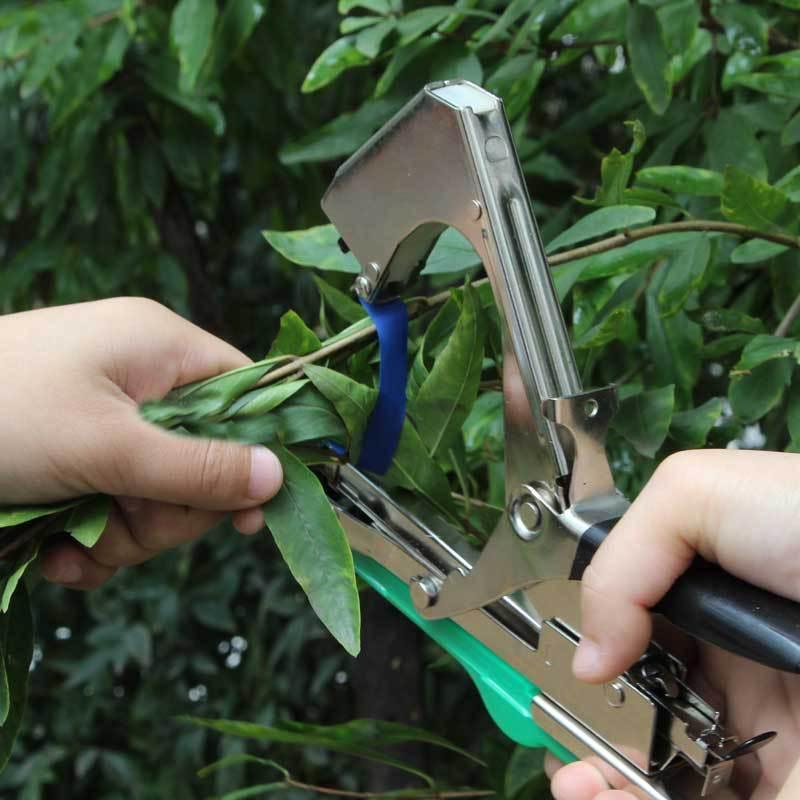 En stock planta de PVC cinta de encuadernación de jardinería cinta de encuadernación árbol frutal plántulas cinta de encuadernación Vid vinculante dispositivo PE cinta