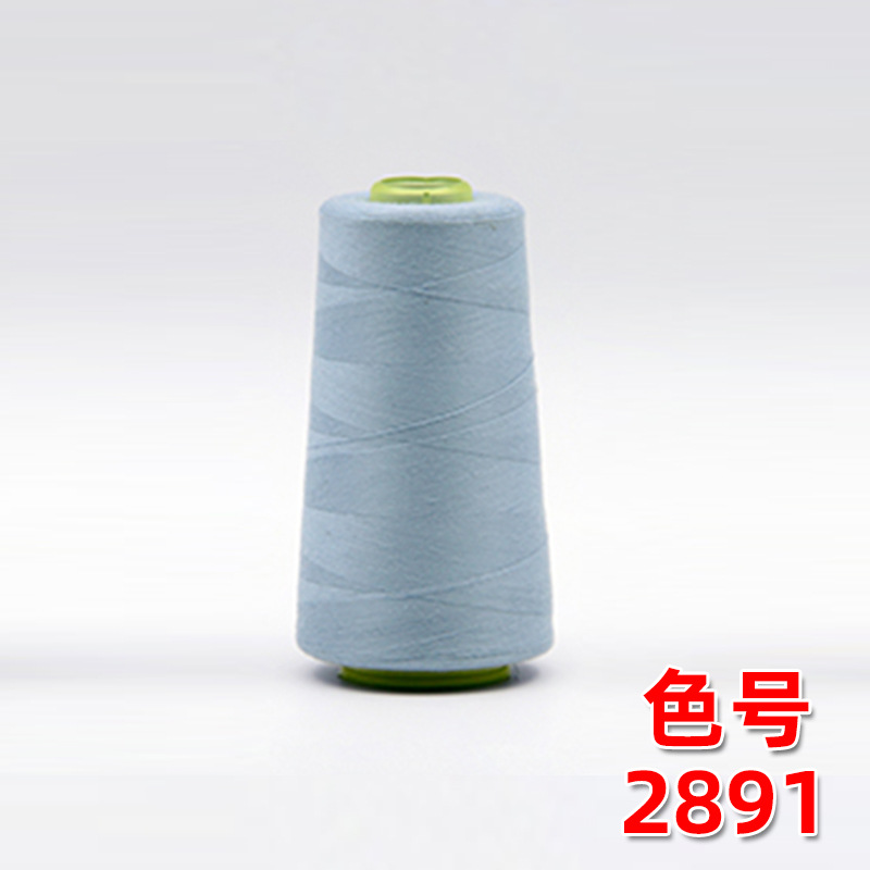 라이트 그레이 블루 2891