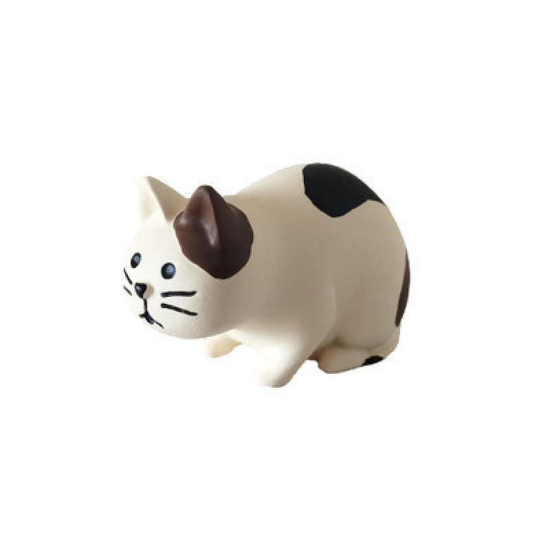 고양이 관찰하기