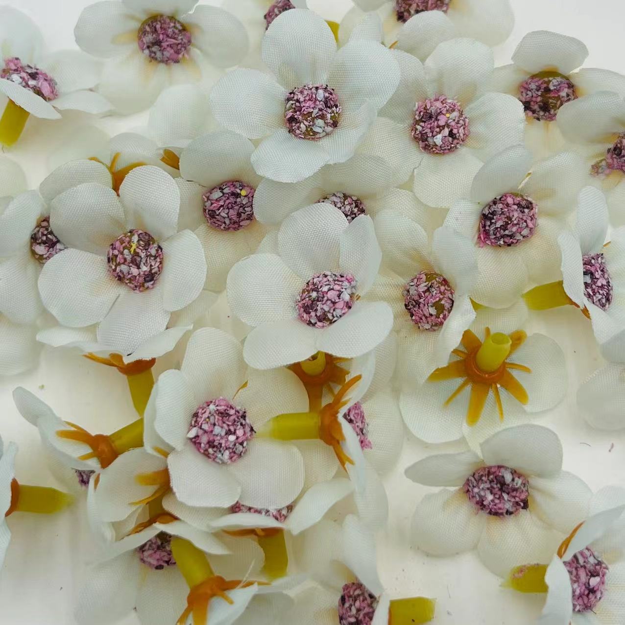 微信图片_202502271919251