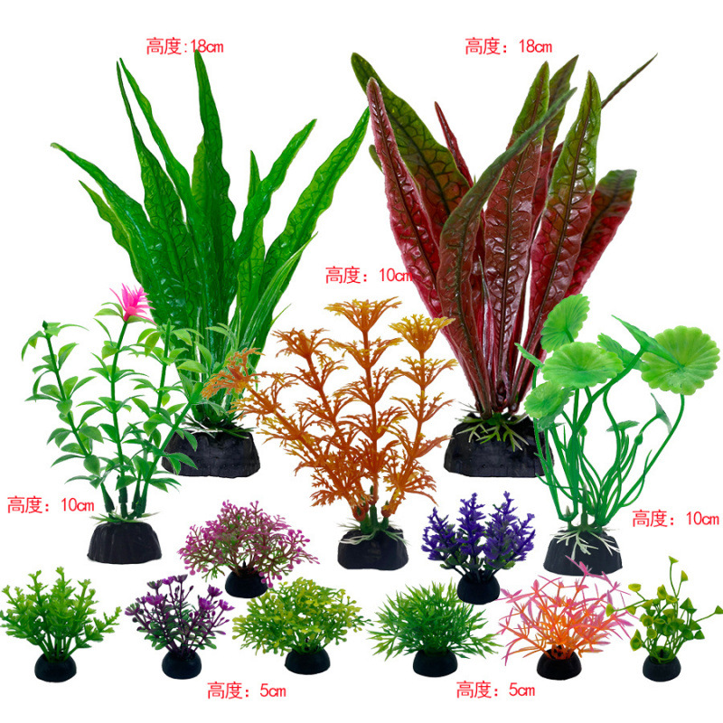 S 시리즈 13피스 패키지 2