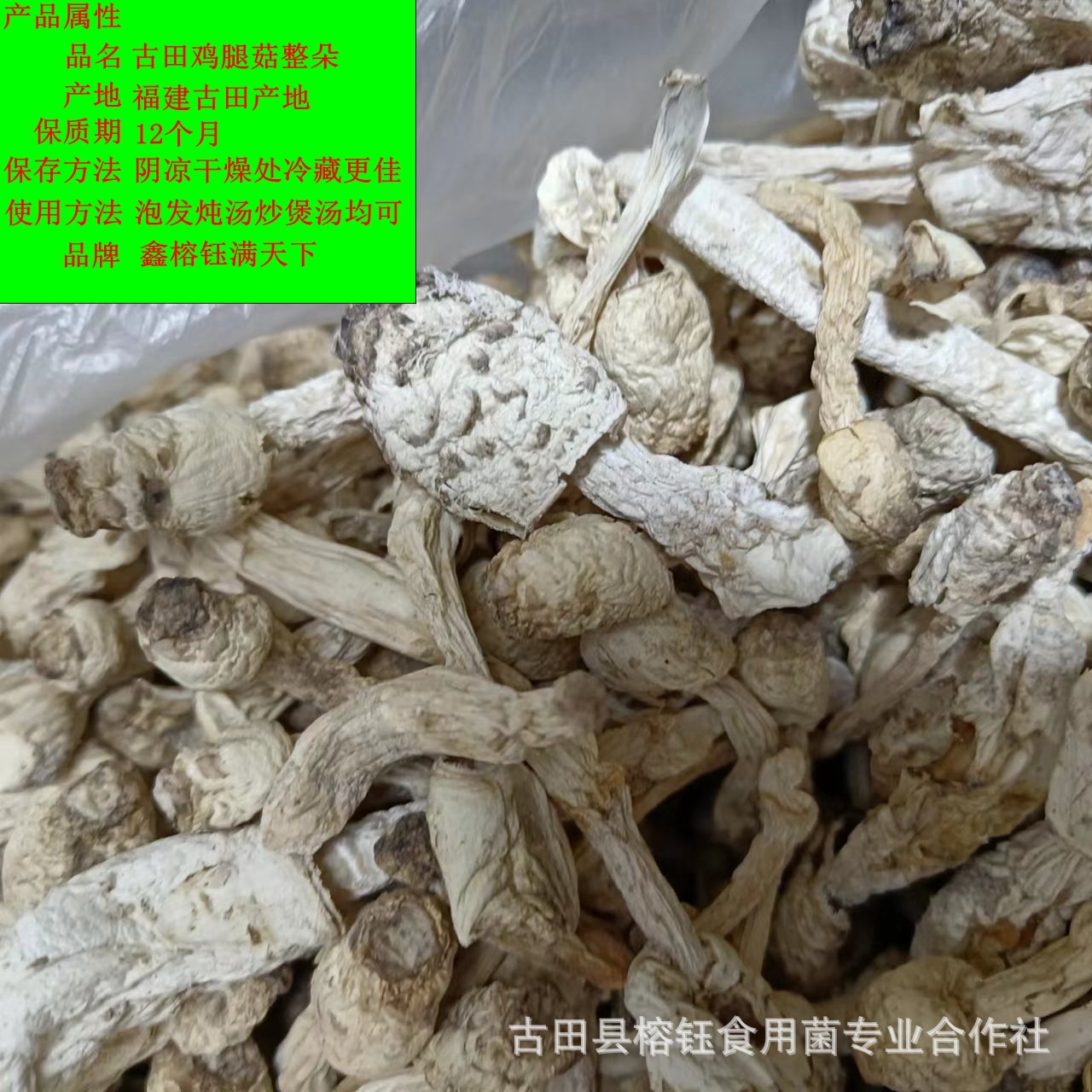 鸡腿菇整朵