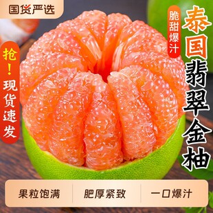 ̩���M�ڽ������r����ˮ������̩������ּt������������]����